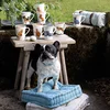 My Mug Collection / Dogs & Cats