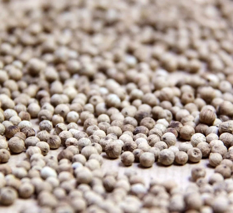 Kampot_White_Pepper