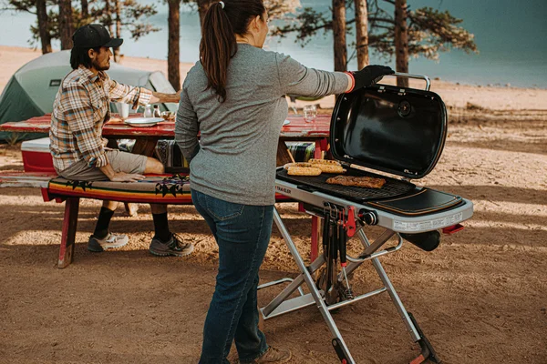 Weber_Traveler_01