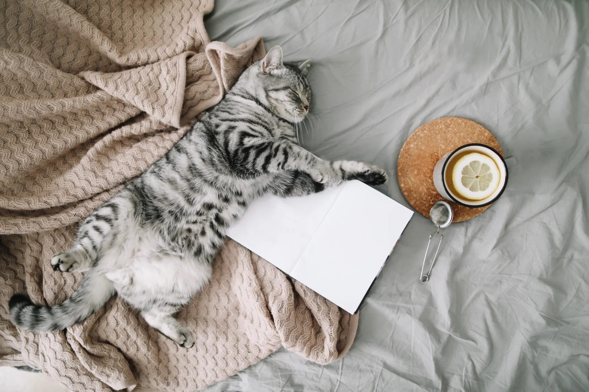Pohlazení po těle i duši ve stylu hygge 